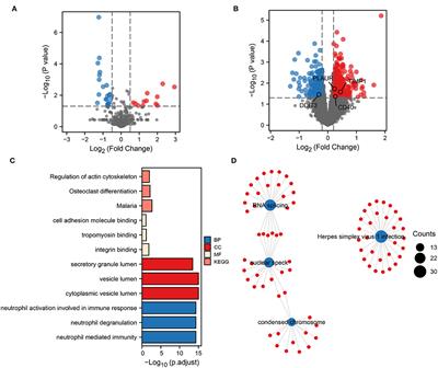 Hypoxia- and Inflammation-Related Transcription Factor SP3 May Be Involved in Platelet Activation and Inflammation in Intracranial Hemorrhage